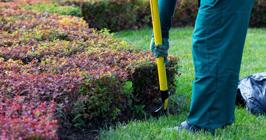 4 Mistakes to Avoid When Choosing a Lawn Care Service