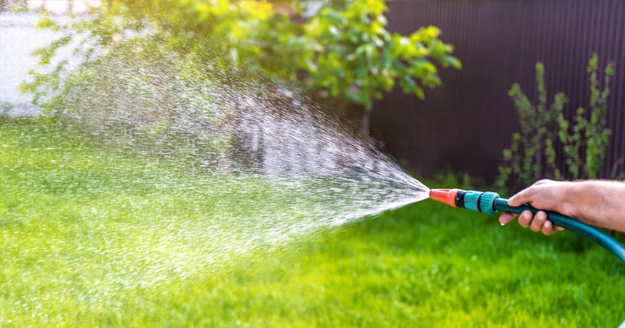 Common Spring Lawn Care Mistakes
