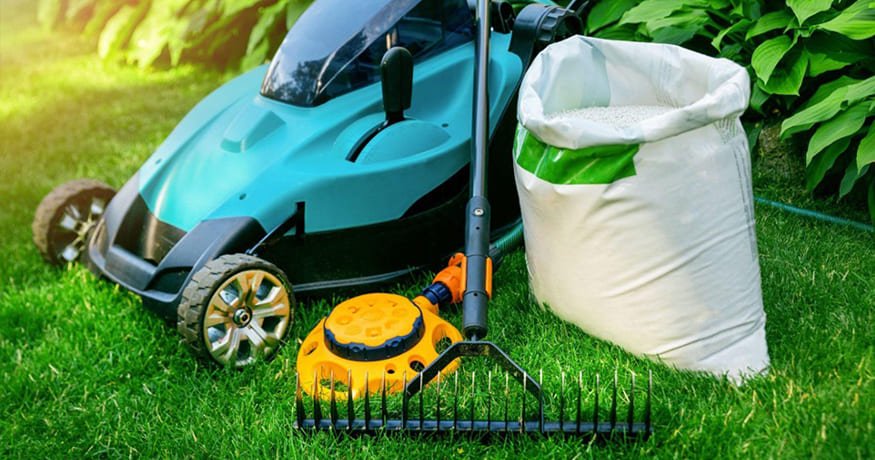 Our Top Tips for Picking a Lawn Service Provider