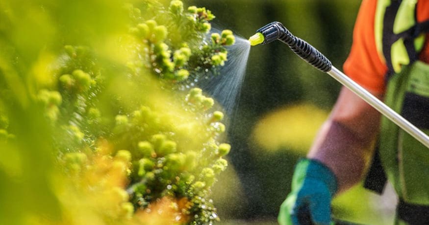 Ultimate Guide to Granular vs. Liquid Fertilizers