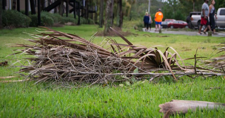 How Do I Clean My Yard After a Bad Storm